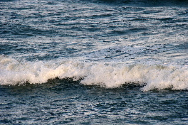 Giornale Radio - Greenpeace: Mediterraneo sempre più caldo Giornale Radio - Greenpeace: Mediterraneo sempre più caldo