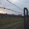 La giornata della memoria non condivisa | 28/01/2025 | Il Corsivo