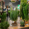 Myplant & Garden, edizione 2025 da record: focus su mercati e dossier comparto verde