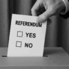 Referendum, eredità della Costituzione, partecipazione