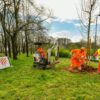 A Milano oltre 730 alberi messi a dimora nei parchi colpiti dal nubifragio del 2023