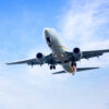 Sale il numero delle vittime del disastro aereo in India