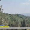Borghi e futuro, a Montecchio il presidio Polis di Poste Italiane contro lo spopolamento