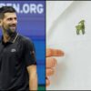 Rivoluzione Lacoste, il celebre coccodrillo ‘si trasforma’ per Djokovic: l’omaggio al fuoriclasse