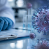 Hantavirus. Oms conferma sette casi di contagi per focolaio sulla nave Hondius