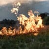 Spagna e Francia combattono contro incendi devastanti. 250 mila persone in fuga